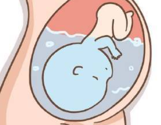 QQ20260226-144514.jpg QQ20260226-144514.jpg