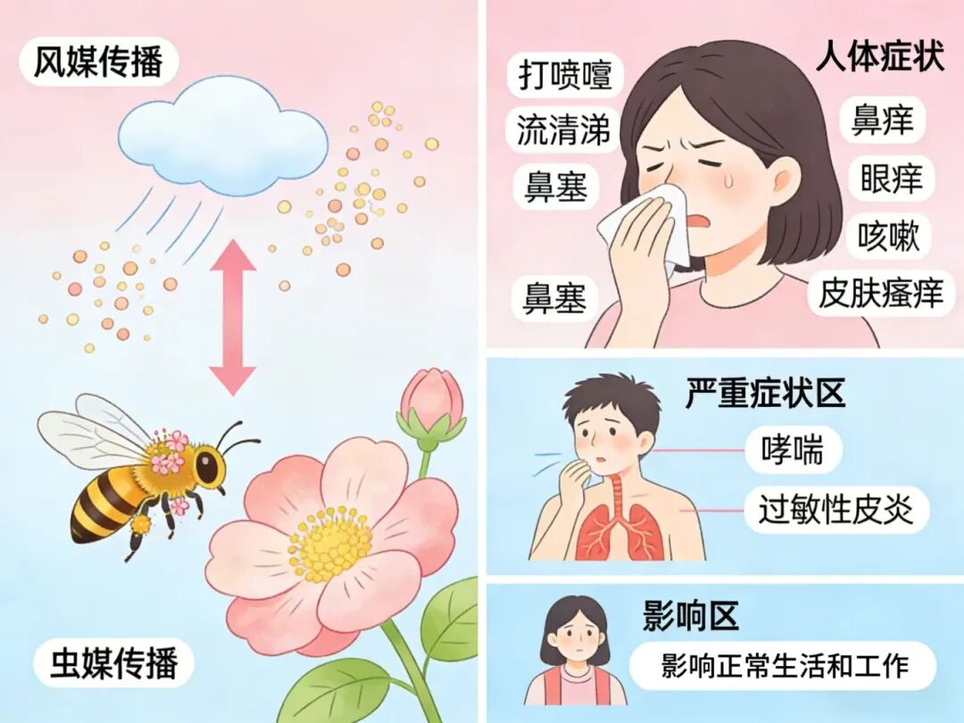 徐州人注意：不是感冒！今年春天“会呼吸的痛”提前上线！