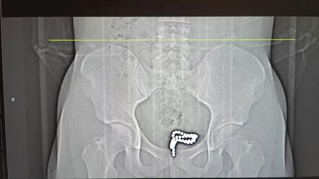 微信图片_2026-03-27_095300_869.jpg 微信图片_2026-03-27_095300_869.jpg