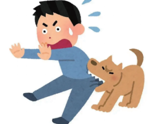 QQ浏览器截图20260516093507.png QQ浏览器截图20260516093507.png