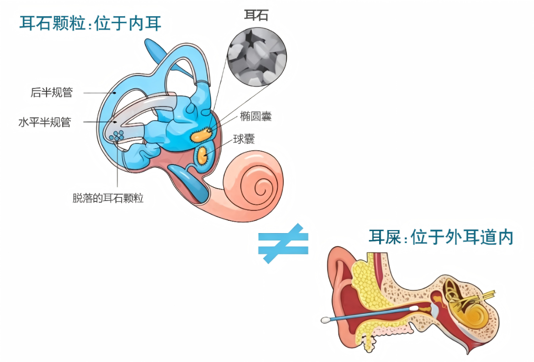 微信图片_2026-06-02_090023_383.png 微信图片_2026-06-02_090023_383.png